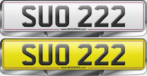 Famous Plate SUO 222