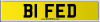 B1 FED