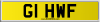 G1 HWF