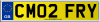 CM02 FRY