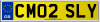 CM02 SLY