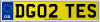 DG02 TES