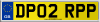 DP02 RPP