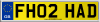 FH02 HAD