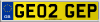 GE02 GEP