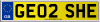 GE02 SHE