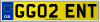 GG02 ENT