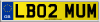 LB02 MUM