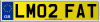 LM02 FAT