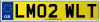 LM02 WLT