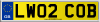 LW02 COB