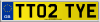 TT02 TYE