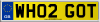 WH02 GOT