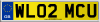 WL02 MCU