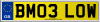 BM03 LOW