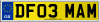 DF03 MAM