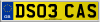 DS03 CAS