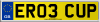ER03 CUP