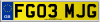 FG03 MJG