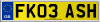 FK03 ASH