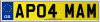 AP04 MAM