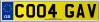 CO04 GAV