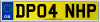 DP04 NHP