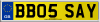 BB05 SAY