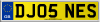 DJ05 NES