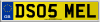 DS05 MEL