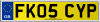FK05 CYP