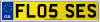 FL05 SES