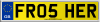 FR05 HER