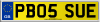 PB05 SUE
