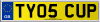 TY05 CUP