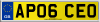 AP06 CEO