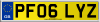 PF06 LYZ