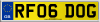 RF06 DOG
