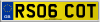 RS06 COT