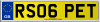 RS06 PET