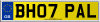 BH07 PAL