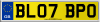 BL07 BPO