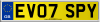 EV07 SPY