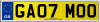 GA07 MOO