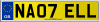 NA07 ELL