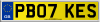 PB07 KES