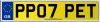 PP07 PET