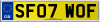 SF07 WOF