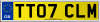 TT07 CLM
