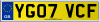 YG07 VCF